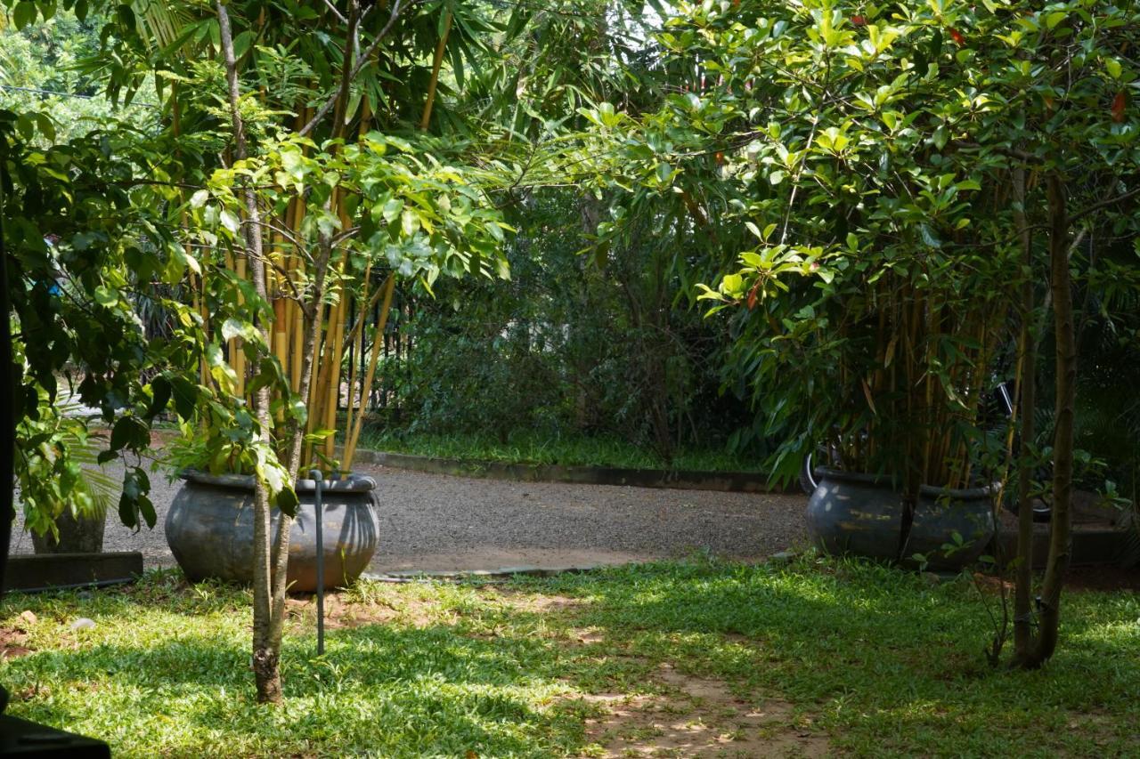 Sandra Guesthouse Dambulla Exterior photo